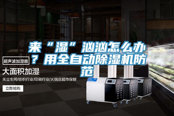 來“濕”洶洶怎么辦？用全自動除濕機防范