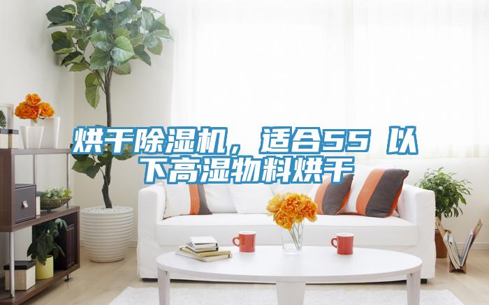 烘干除濕機(jī)，適合55℃以下高濕物料烘干