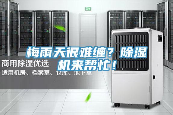 梅雨天很難纏？除濕機來幫忙！