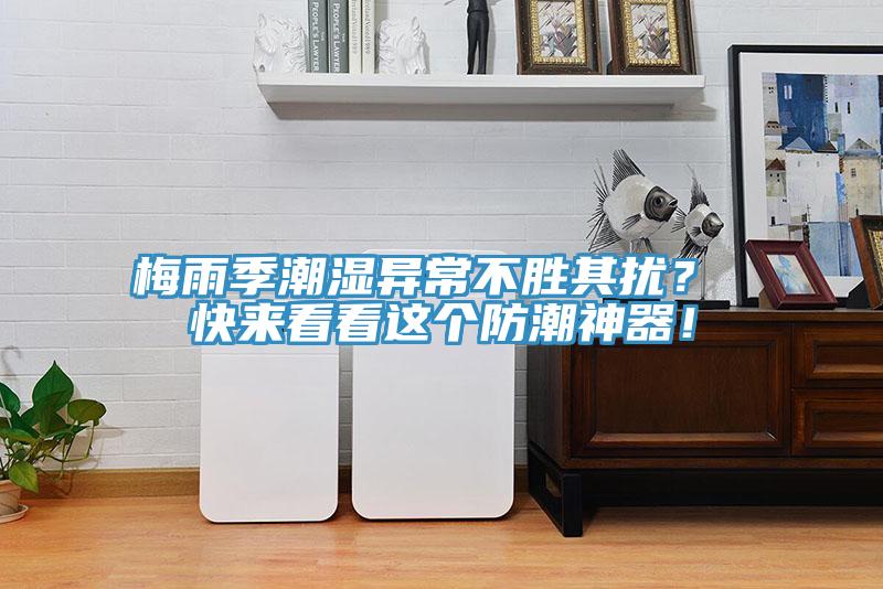 梅雨季潮濕異常不勝其擾？ 快來看看這個防潮神器！