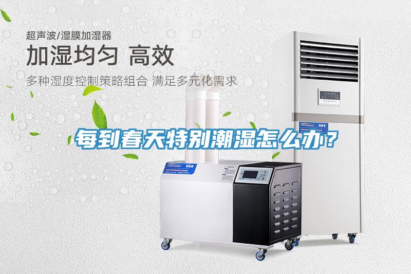 每到春天特別潮濕怎么辦？