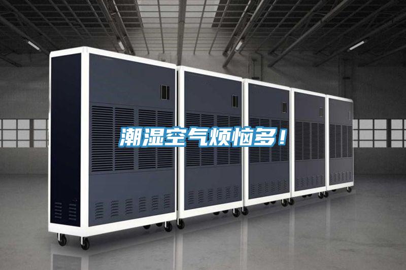 潮濕空氣煩惱多！