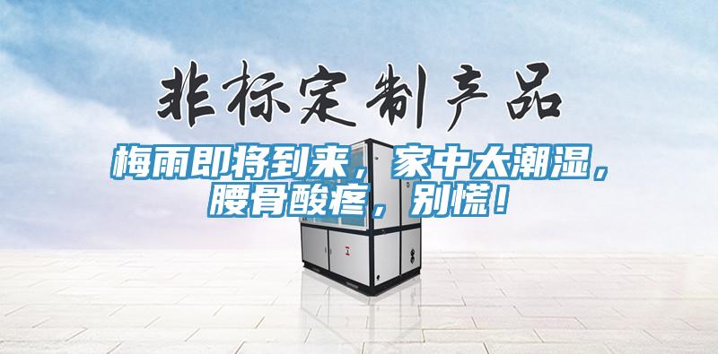 梅雨即將到來，家中太潮濕，腰骨酸疼，別慌！