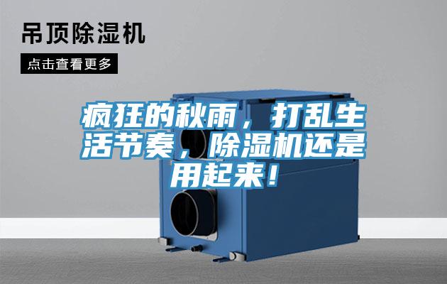 瘋狂的秋雨，打亂生活節(jié)奏，除濕機(jī)還是用起來！