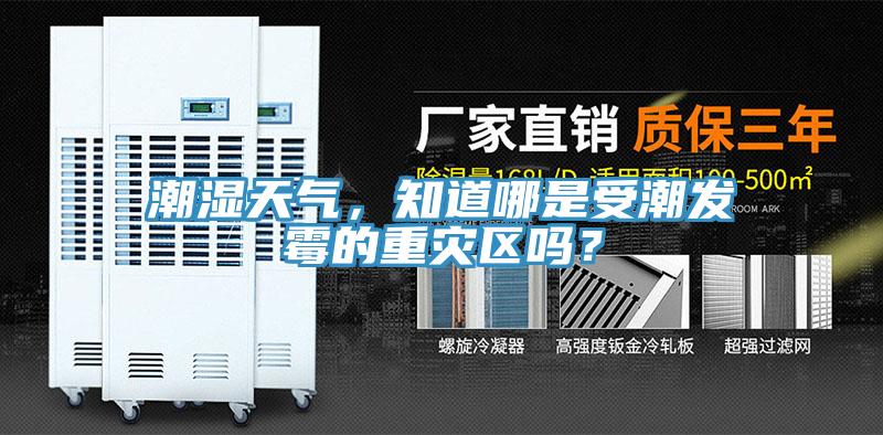 潮濕天氣，知道哪是受潮發(fā)霉的重災(zāi)區(qū)嗎？