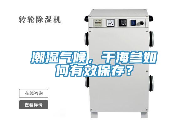 潮濕氣候，干海參如何有效保存？
