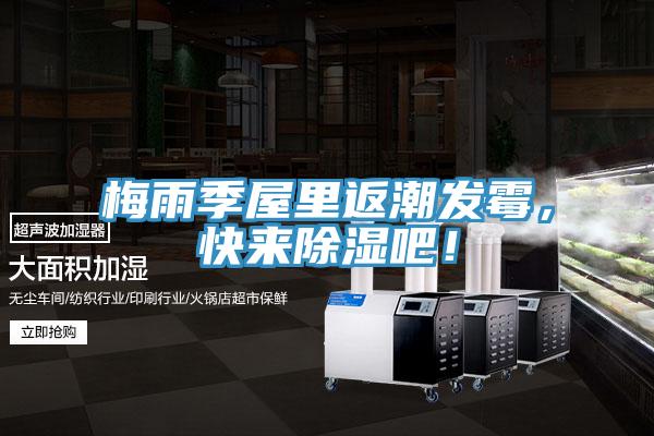 梅雨季屋里返潮發(fā)霉，快來(lái)除濕吧！