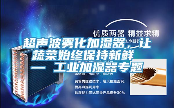超聲波霧化加濕器，讓蔬菜始終保持新鮮 — 工業(yè)加濕器專題