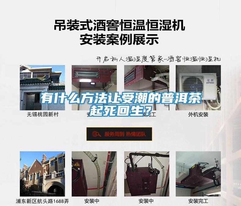 有什么方法讓受潮的普洱茶起死回生？