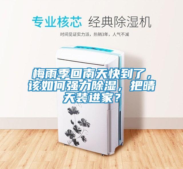 梅雨季回南天快到了，該如何強(qiáng)力除濕，把晴天裝進(jìn)家？