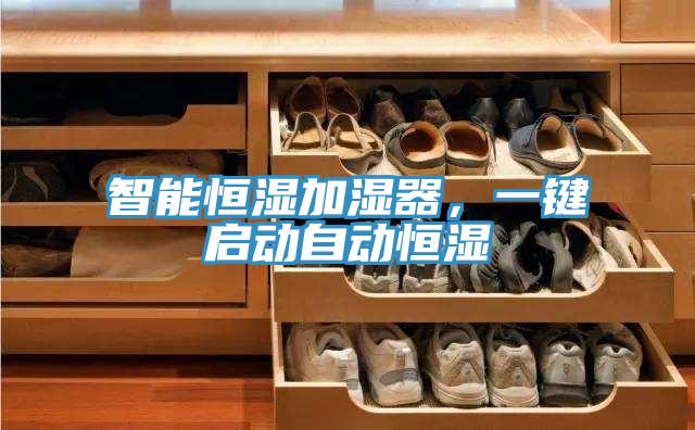 智能恒濕加濕器，一鍵啟動(dòng)自動(dòng)恒濕