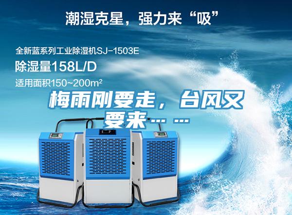 梅雨剛要走，臺風又要來……