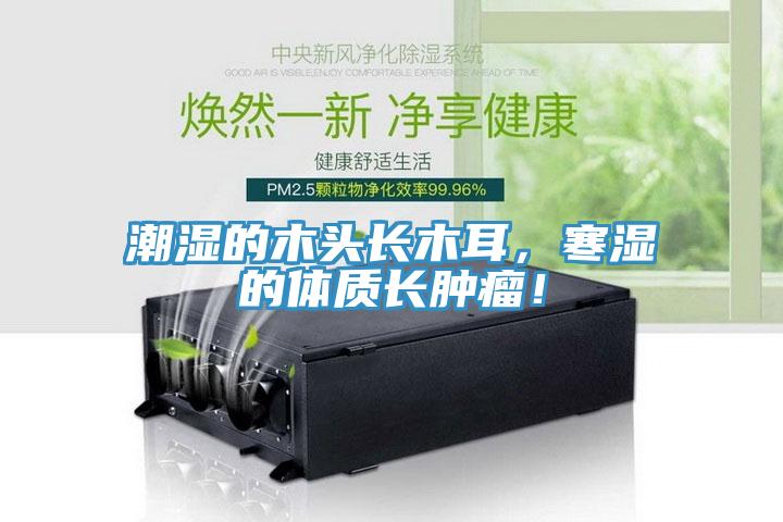 潮濕的木頭長(zhǎng)木耳，寒濕的體質(zhì)長(zhǎng)腫瘤！
