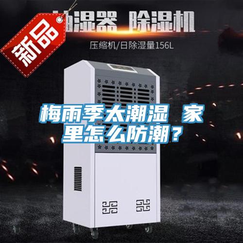 梅雨季太潮濕 家里怎么防潮？