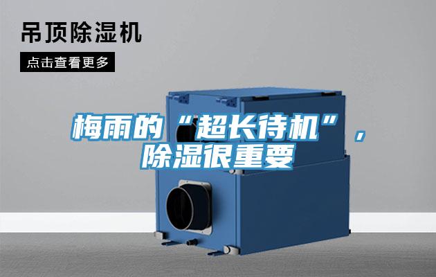 梅雨的“超長(zhǎng)待機(jī)”，除濕很重要