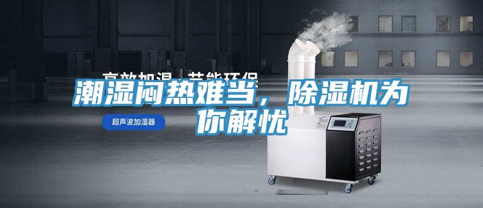 潮濕悶熱難當，除濕機為你解憂