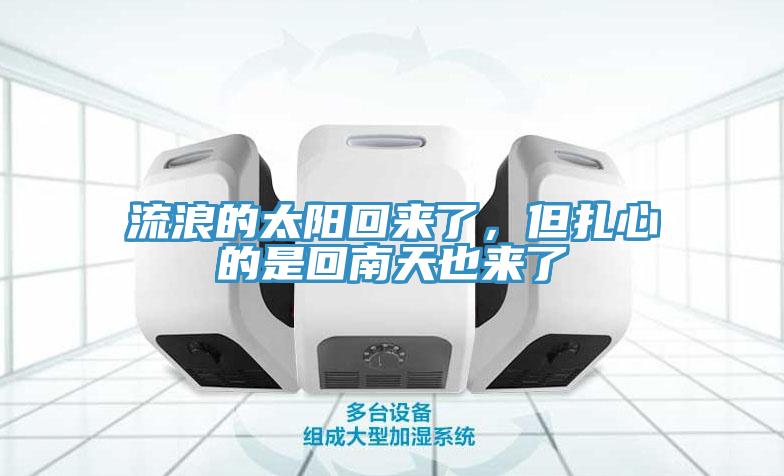 流浪的太陽回來了，但扎心的是回南天也來了