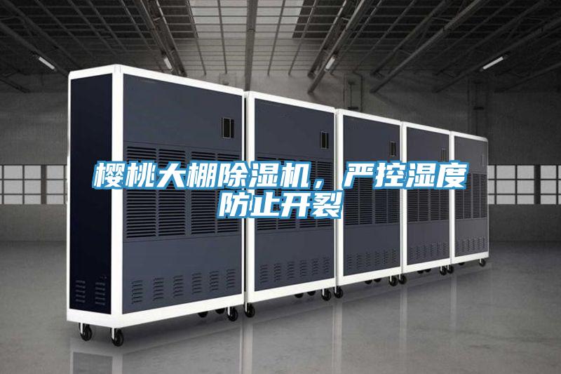 櫻桃大棚除濕機(jī)，嚴(yán)控濕度防止開(kāi)裂