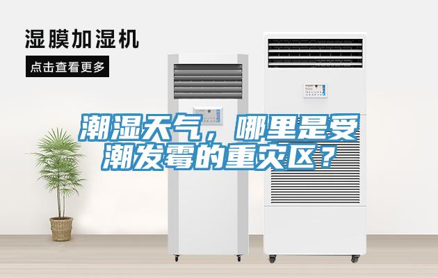 潮濕天氣，哪里是受潮發(fā)霉的重災(zāi)區(qū)？