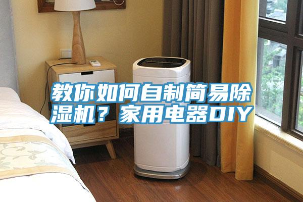 教你如何自制簡易除濕機(jī)？家用電器DIY