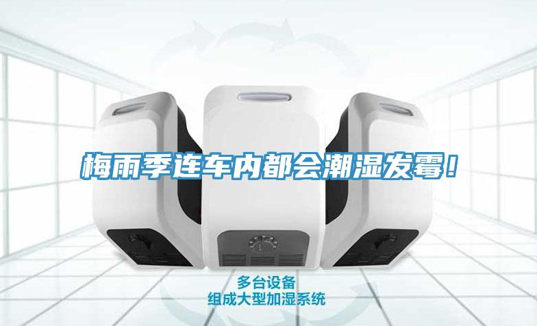梅雨季連車內都會潮濕發(fā)霉！
