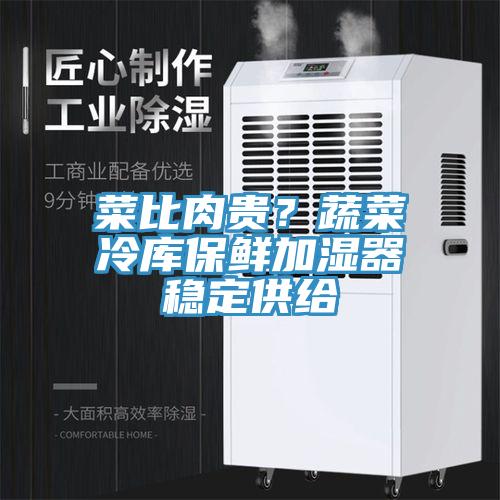 菜比肉貴？蔬菜冷庫(kù)保鮮加濕器穩(wěn)定供給