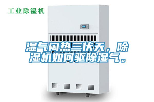 濕氣悶熱三伏天，除濕機(jī)如何驅(qū)除濕氣。