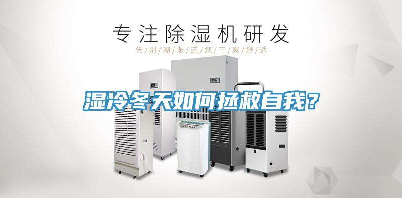 濕冷冬天如何拯救自我？