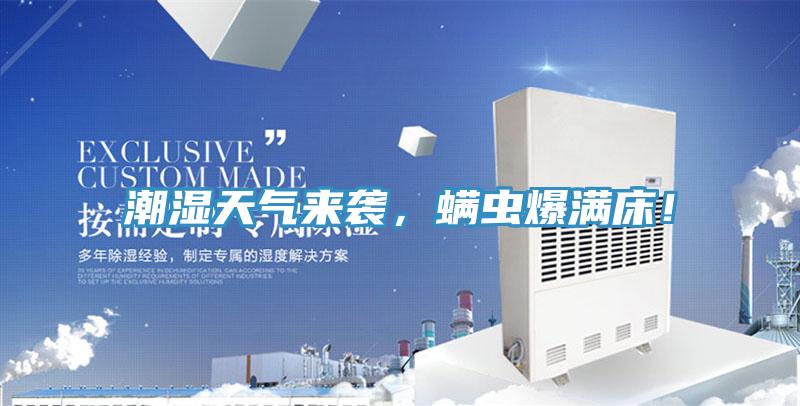 潮濕天氣來襲，螨蟲爆滿床！