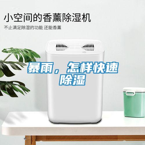 暴雨，怎樣快速除濕