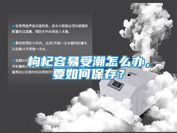 枸杞容易受潮怎么辦，要如何保存？