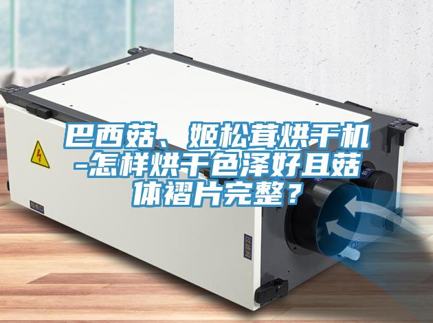 巴西菇、姬松茸烘干機-怎樣烘干色澤好且菇體褶片完整？