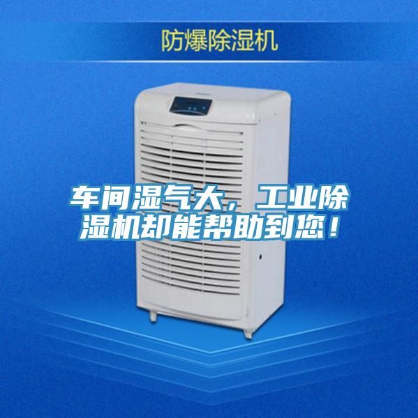 車間濕氣大，工業(yè)除濕機卻能幫助到您！
