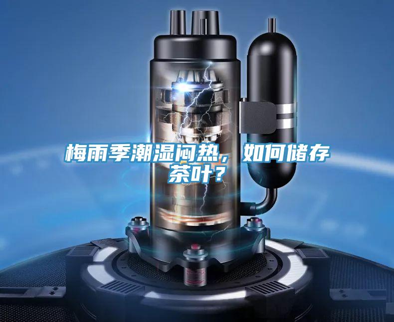 梅雨季潮濕悶熱，如何儲(chǔ)存茶葉？