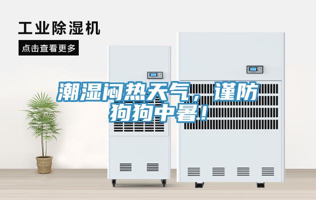潮濕悶熱天氣，謹(jǐn)防狗狗中暑！