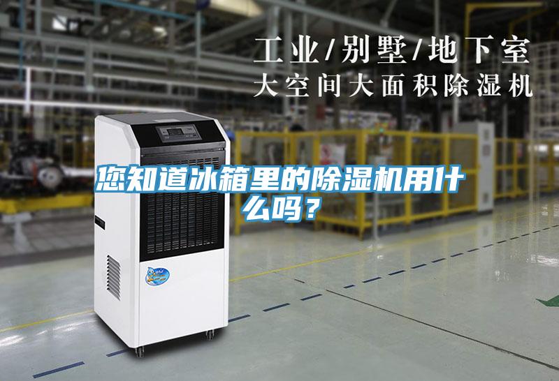 您知道冰箱里的除濕機(jī)用什么嗎？