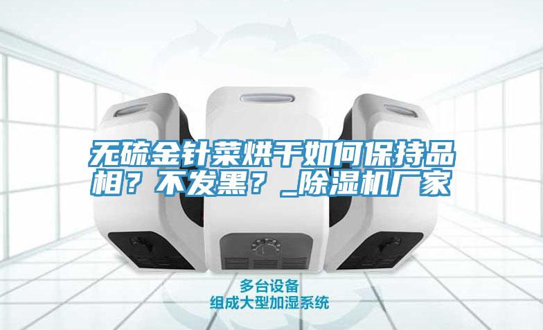 無(wú)硫金針菜烘干如何保持品相？不發(fā)黑？_除濕機(jī)廠家