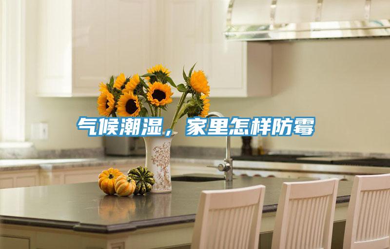 氣候潮濕，家里怎樣防霉