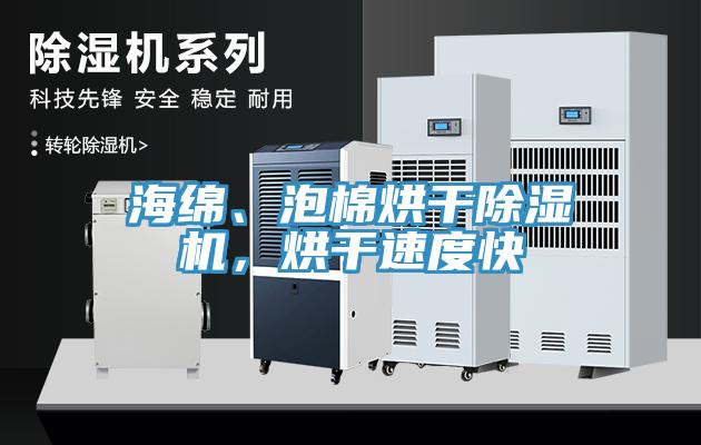 海綿、泡棉烘干除濕機，烘干速度快