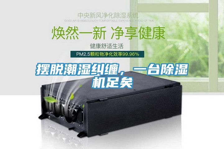 擺脫潮濕糾纏，一臺除濕機足矣