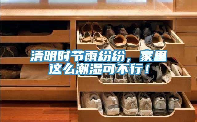 清明時節(jié)雨紛紛，家里這么潮濕可不行！