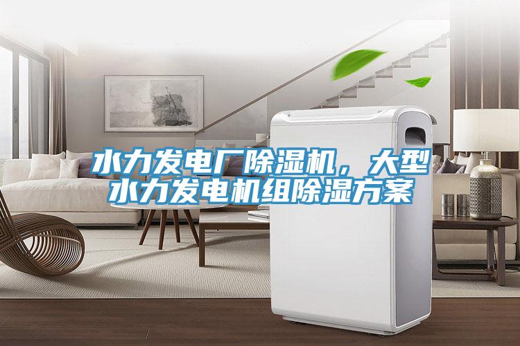 水力發(fā)電廠除濕機，大型水力發(fā)電機組除濕方案