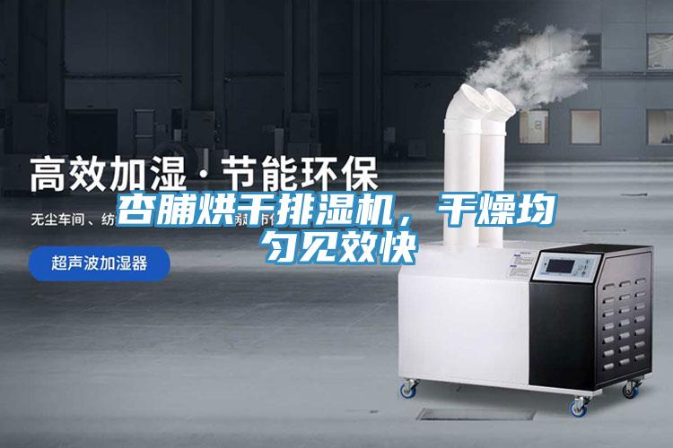 杏脯烘干排濕機，干燥均勻見效快