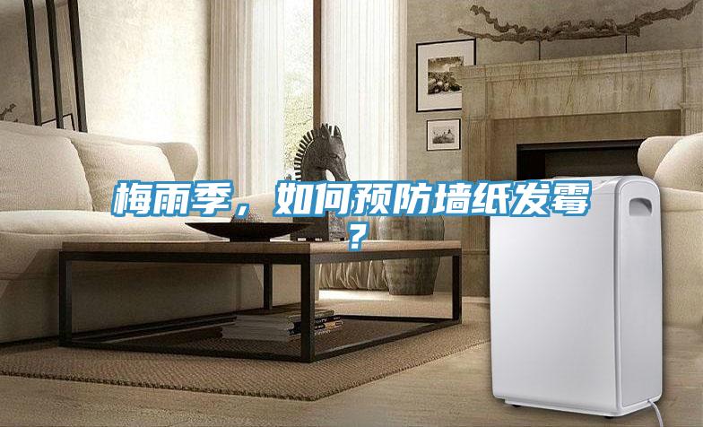 梅雨季，如何預(yù)防墻紙發(fā)霉？