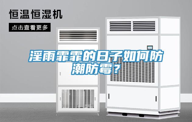 淫雨霏霏的日子如何防潮防霉？