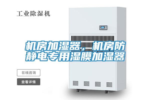 機(jī)房加濕器，機(jī)房防靜電專用濕膜加濕器