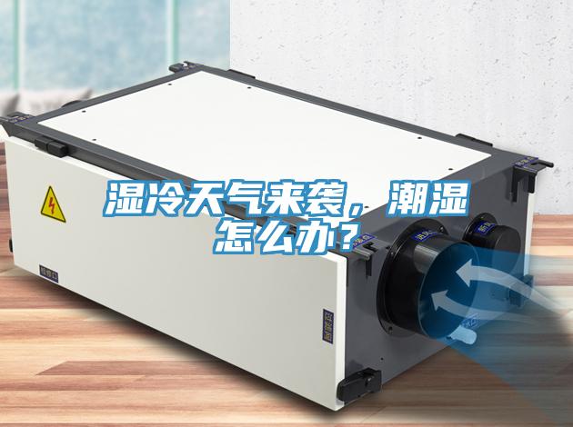 濕冷天氣來襲，潮濕怎么辦？