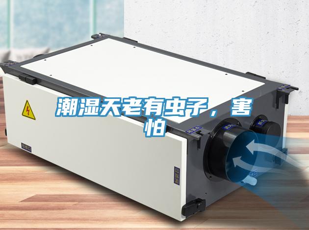 潮濕天老有蟲子，害怕
