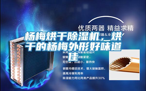 楊梅烘干除濕機(jī)，烘干的楊梅外形好味道佳
