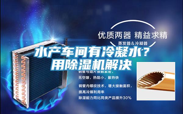 水產(chǎn)車間有冷凝水？用除濕機解決